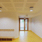 Acoustical Ceiling