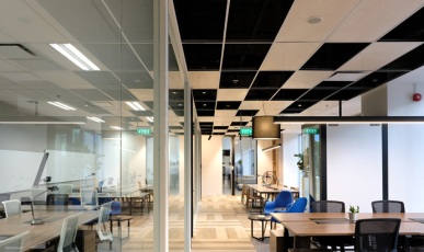 Grid Ceiling