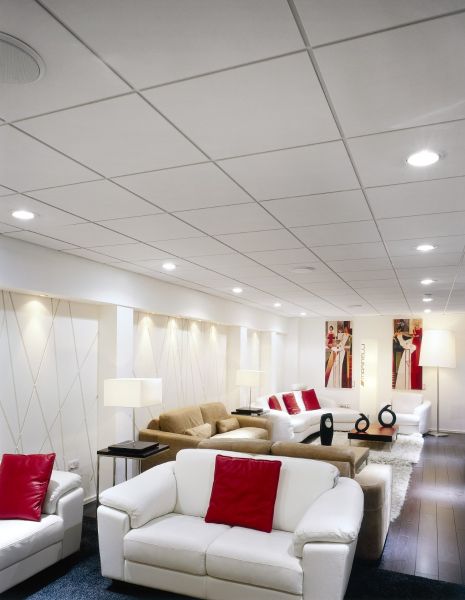 Grid Ceiling